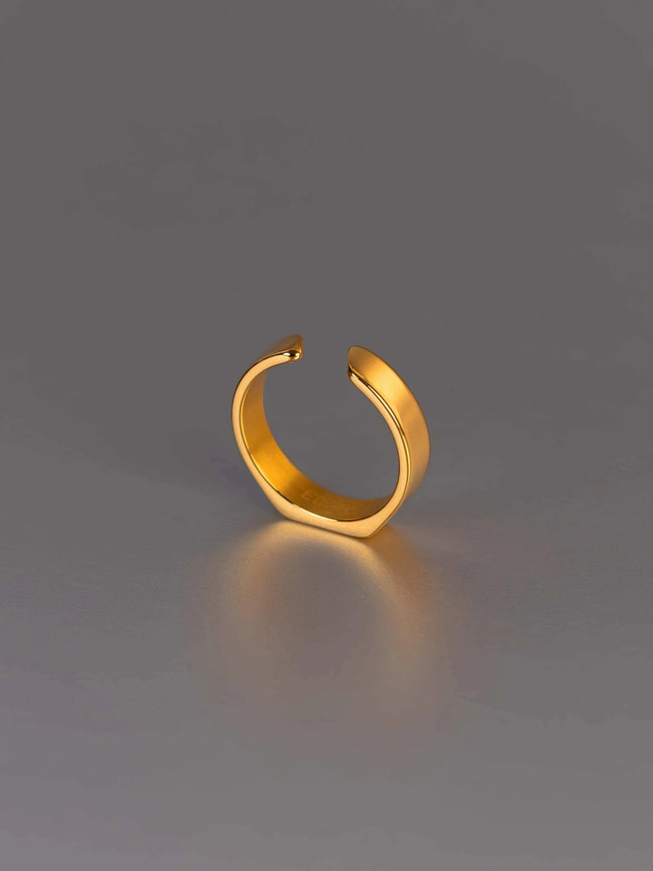 Minimal Siegelring Gold_3