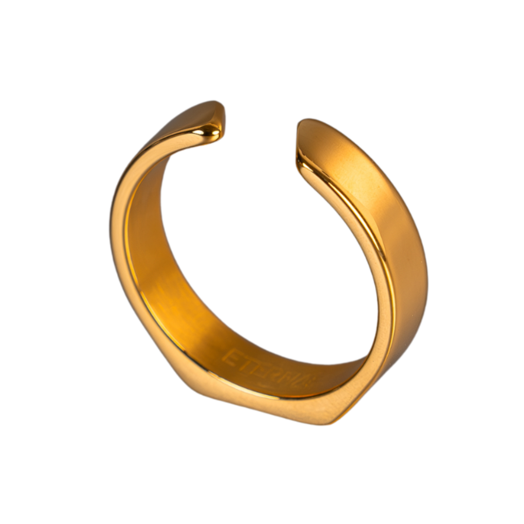 siegelring herren gold geschenkidee