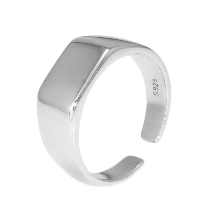 Shine Ring - 925 Silber