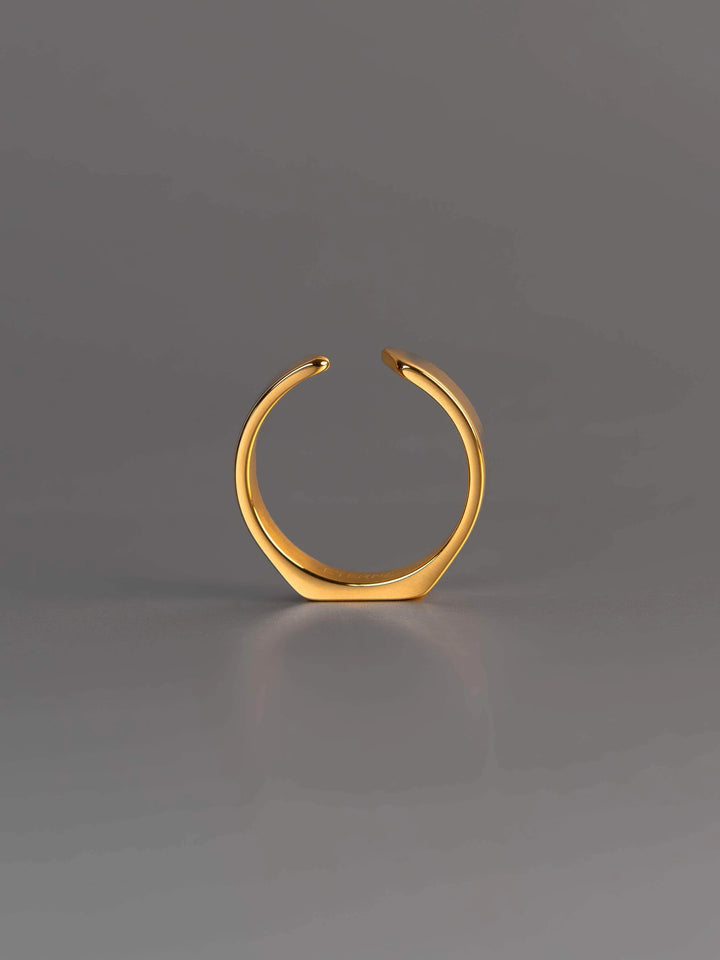 Siegelarmband Ring Gold_7